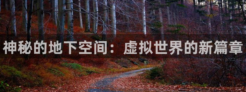 新宝GG子股价：神秘的地下空间：虚拟世界的新篇章