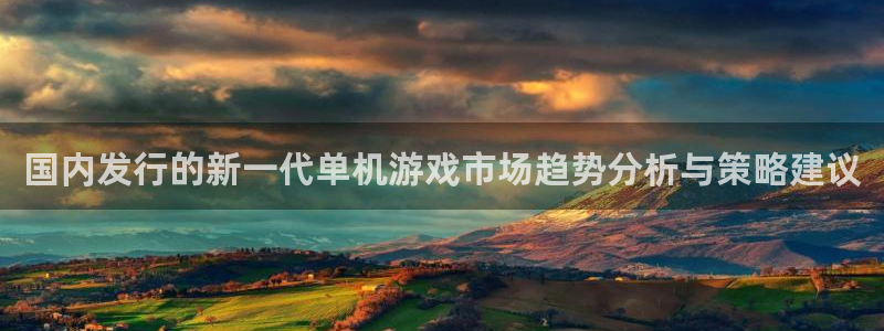 广东新宝GG营销策划有限公司：国内发行的新一代单机游戏市场趋势分析与策略建议