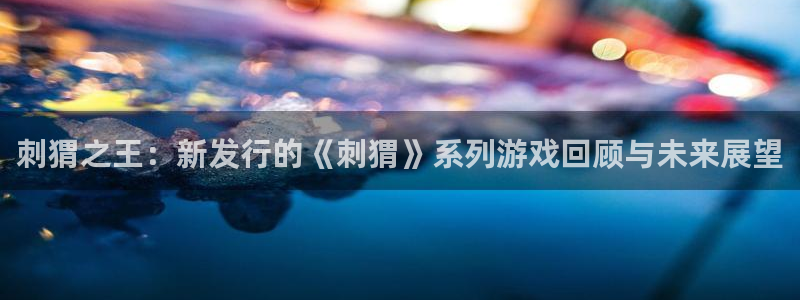 新宝GG子教育科技(江门)有限公司：刺猬之王：新发行的《刺猬》系列游戏回顾与未来展望