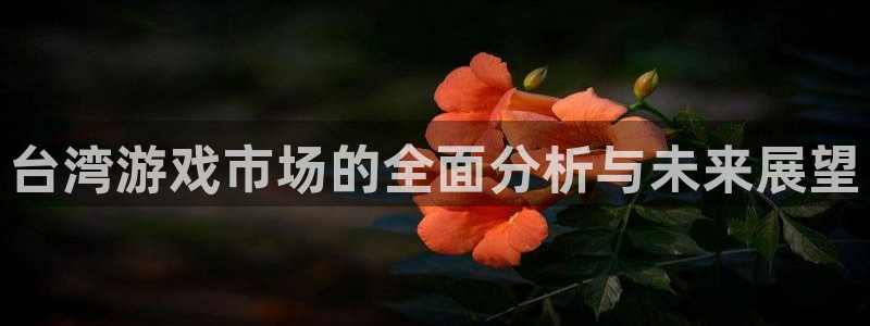 新宝GG图片