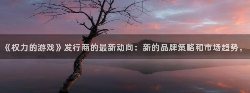 新宝GG子财经丛书：《权力的游戏》发行商的最新动向：新的品牌策略和市场趋势。