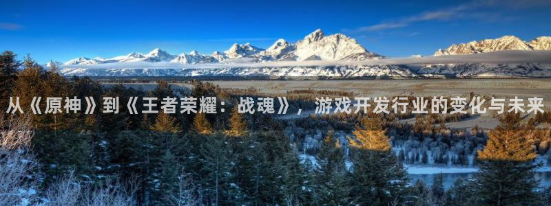 新宝GG电子商务有限公司怎么样知乎：从《原神》到《王者荣耀：战魂》，游戏开发行业的变化与未来