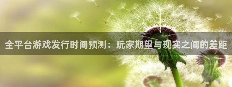 新宝GG官网登录注册账号失败怎么回事：全平台游戏发行时间预测：玩家期望与现实之间的差距