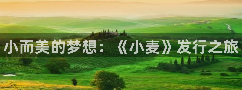 新宝GG官网登录注册失败怎么回事：小而美的梦想：《小麦》发行之旅