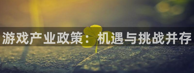 新宝GG官网挂机项目怎么样可靠吗：游戏产业政策：机遇与挑战并存