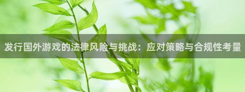 新宝GG子经理人读后感：发行国外游戏的法律风险与挑战：应对策略与合规性考量