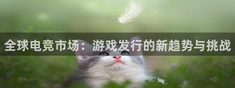 新宝GG官网登录注册账号密码：全球电竞市场：游戏发行的新趋势与挑战